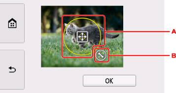 الشكل: شاشة باللمس